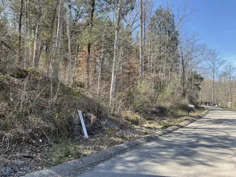 Land Near Burnside Marina