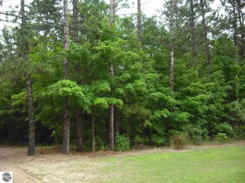 Wooded Land Parcel in Kingsley