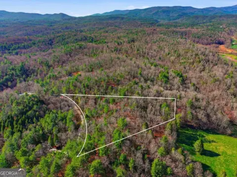 Ellijay, GA Mountain Dream Land