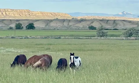 Expansive Wyoming Land with Irrigation