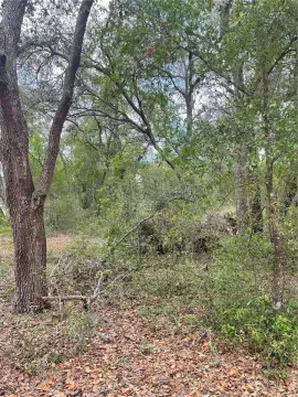 Buildable Lot in Lady Lake
