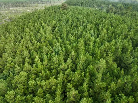 160 Acres of Vacant Land