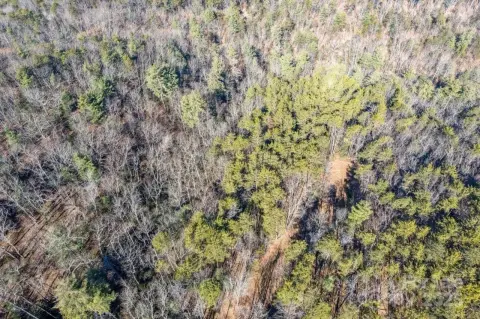 Mountain Homesite with Sweeping Views