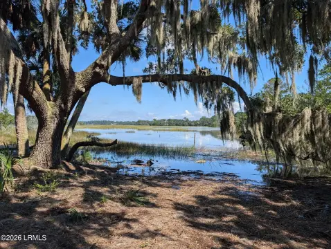 Cleared Land with Marsh Views