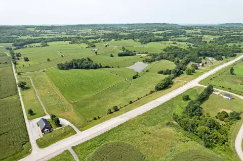 Cattle Farm with Barns