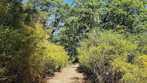 Ready-to-Build Acre in Loch Lomond