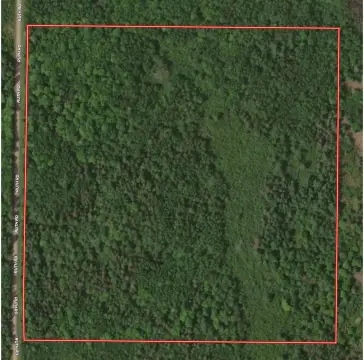 Wooded Recreational Land Parcel