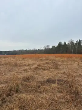 Norwood, GA Fenced Land