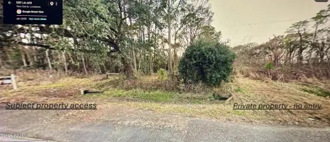 Wooded Agricultural Land Tract