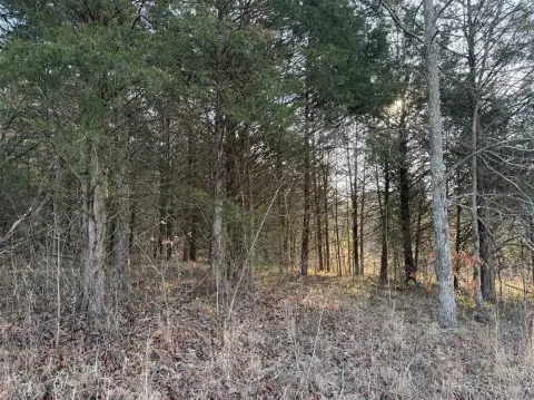 10 Acres in Metcalfe County