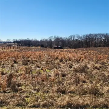 Franklin, KY Agricultural Land