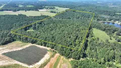 Alabama Farm and Hunting Retreat