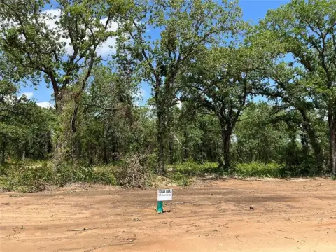 Tolar, TX Treed Land Lot