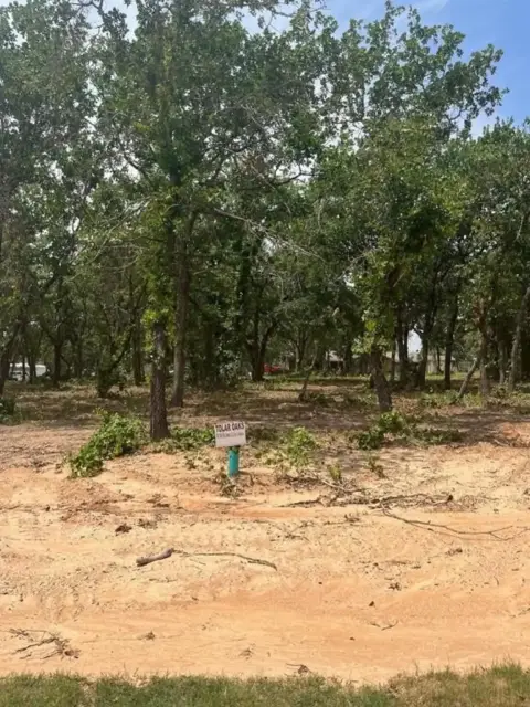 Tolar, TX Treed Land Lot