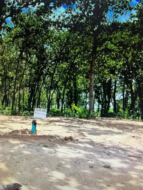 Tolar, TX Treed Land Lot