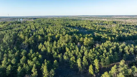 699 Acres Timberland Investment Opportunity