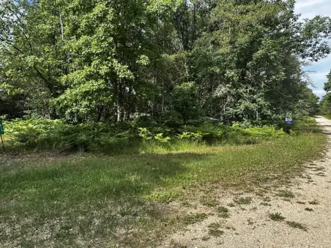 Vacant Recreation Land with Driveway