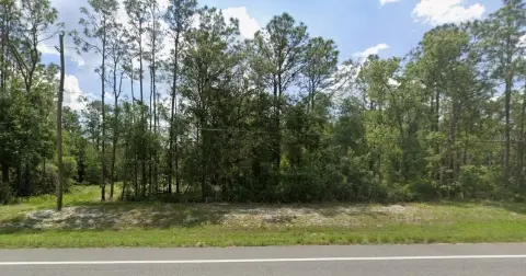 Wooded Lot in Webster, Florida