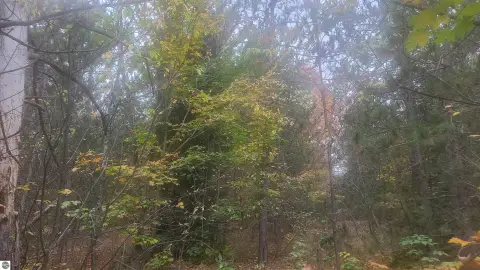 Mancelona Wooded Building Lot