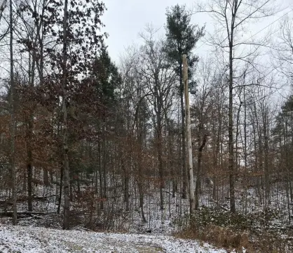 Campton, KY 4.52-Acre Lot