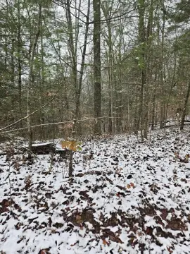 Campton, KY Buildable Lot