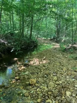 Wooded Recreational Land with Stream