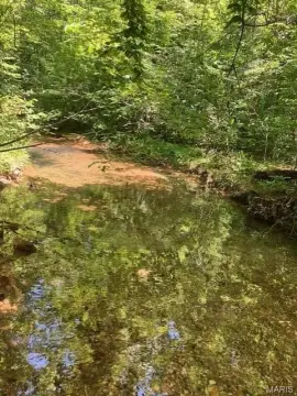 Wooded Hunting and Recreation Land