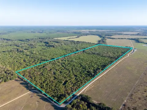 Mixed-Timber Hunting Land