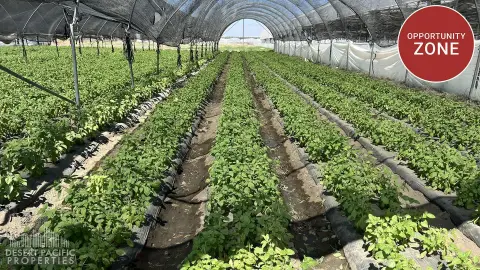 Thermal Agricultural Operation for Rent