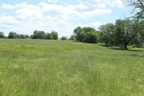 Fenced Agricultural Land