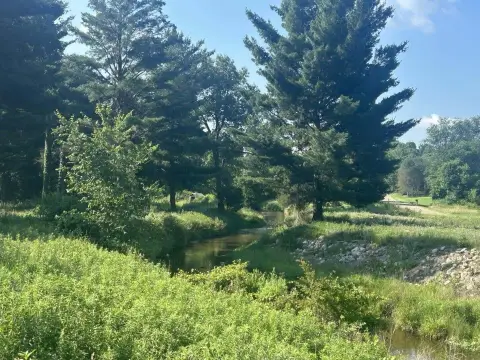 Mostly Wooded Waterfront Land Parcel