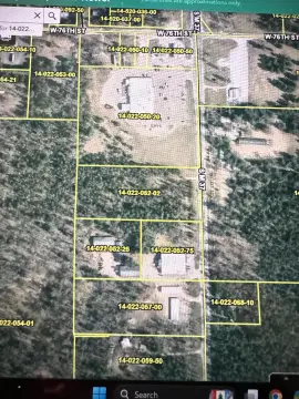 Wooded Commercial Land Parcel