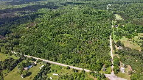 Northern Michigan Hunting and Recreation Land