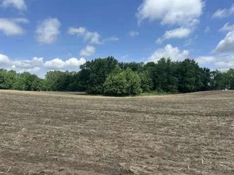 Western Hillsdale County Hunting Land