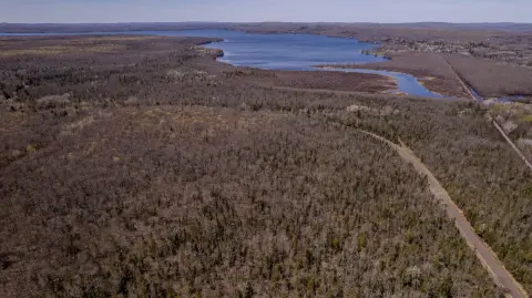 Wooded Recreation Land Parcel