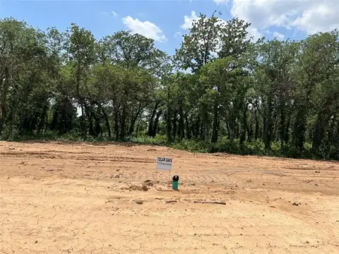 Tolar, TX Treed Land Lot