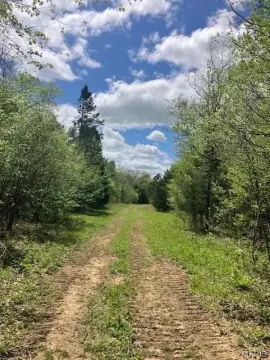 Wooded Hunting Land with Stream