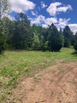 Wooded Recreational Land with Stream