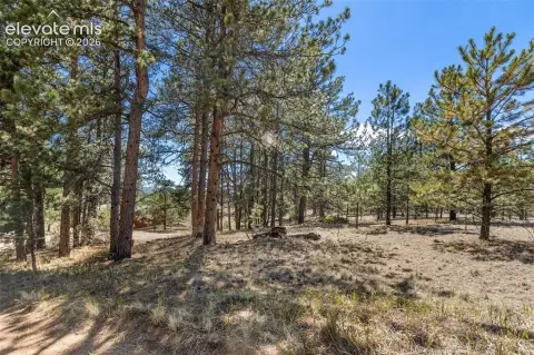 Level Residential Homesite Lot
