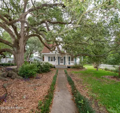 Historic Raised Cottage with Commercial Use
