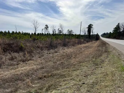 19.2 Acres Timber Investment Opportunity