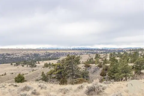 Molt, MT 20-Acre Land