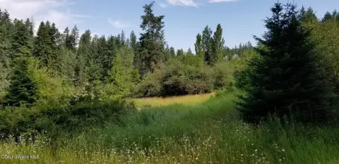2-Acre Parcel Near CDA Lake