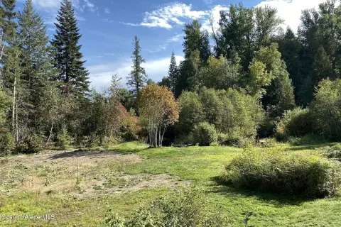 Sandpoint Acreage with Creek Frontage