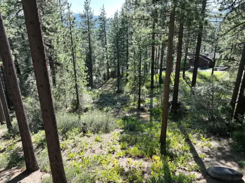 Residential Land in Tahoe Paradise