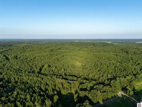 98 Acres of Kentucky Land