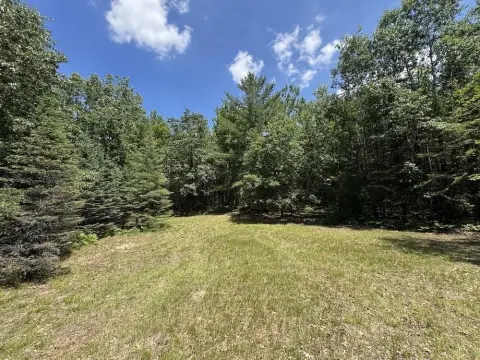 Hunting & Recreation Land Tract