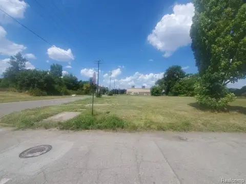 Vacant Land in Detroit