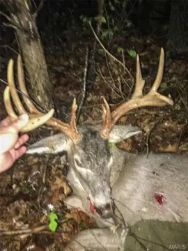 Grubville Farm and Hunting Land