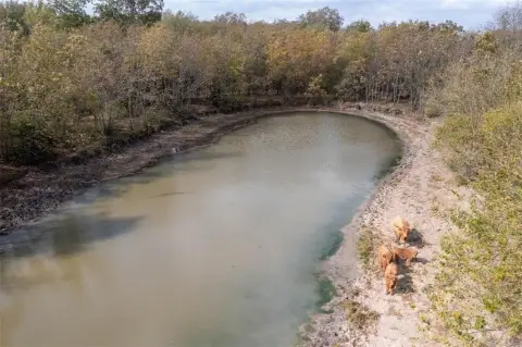 Campbell, TX Unimproved Land